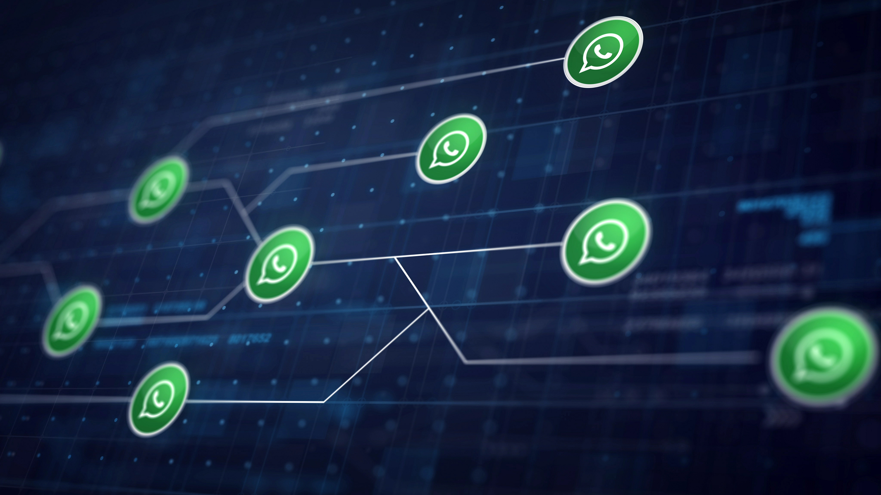 Cum să capturezi și să califici lead-uri prin WhatsApp: ghid practic